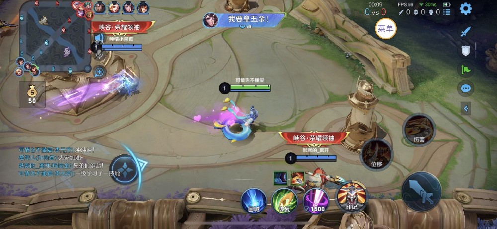 <strong>王者荣耀《神域》辅助 </strong>